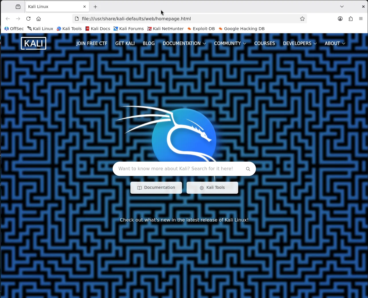 Run Kali Linux GUI Apps on WSL2